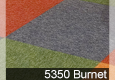 5350 Burnet